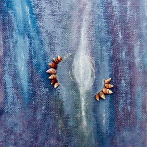 tiny whelk seashell art, basket or dog whelk shells, arrangement of spiraled seashells on iridescent mother of pearl & acrylic backdrop
