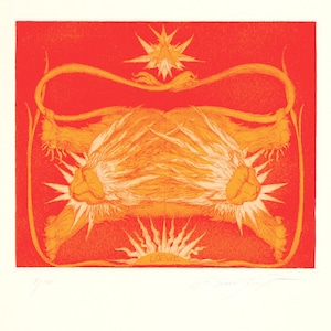 May include: A red and orange print of a lion with a star above it and the word "LOEWE" below it.