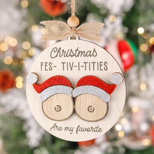Funny Adult Christmas Ornament, Funny Christmas Ornament, Gag Gift, Funny Ornament, Tree Decor, Funny Christmas Gift, Inappropriate Gift
