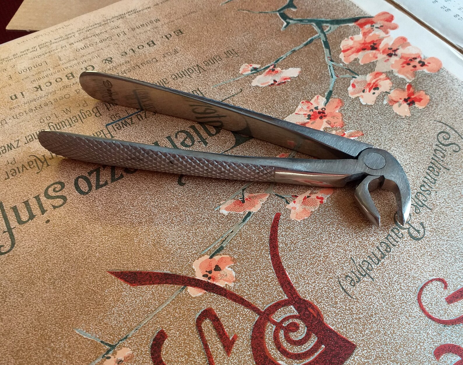 Vintage Dental Teeth Removal Tool Tooth Teeth Forceps Dental Etsy