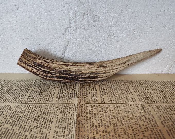 Elk Horn Knife Handle Horn Workpiece Scales for Knife Handle Etsy