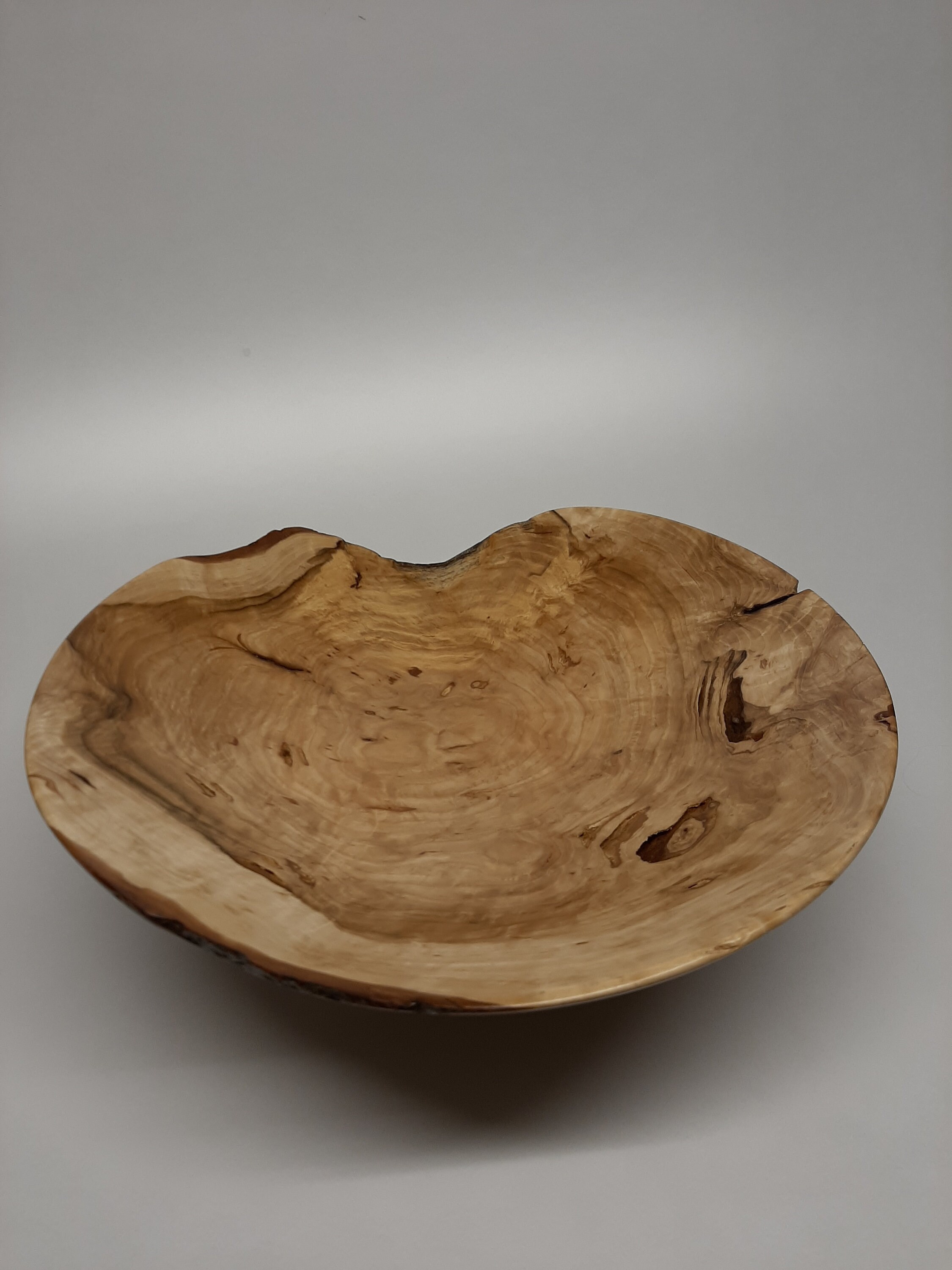 Coupe en Loupe de Saule