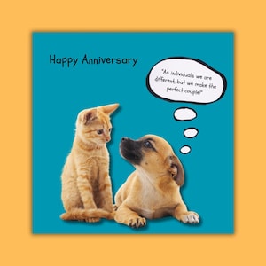 Carte de voeux vierge drôle d'anniversaire de chat et de chien. Option personnalisée disponible