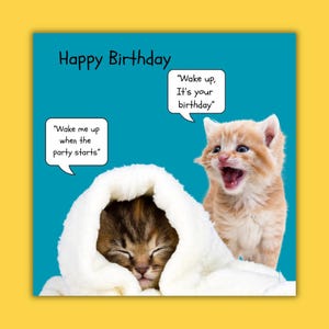 Carte de voeux drôle d'anniversaire de photo d'humour. Option personnalisée disponible