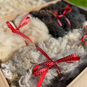 Raw Wool Selection Box of Heritage Fleece. Coloured Ryeland, Grey Face Dartmoor, Herdwick & Texel. Felting Spinning Weaving Fibre Art