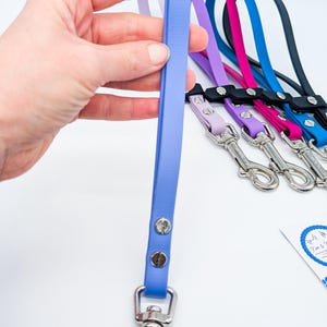 Könnte beinhalten: Eine Kollektion von fünf Hundeleinen aus glattem, flachem, wasserfestem Material in Hellblau, Lavendel, Magenta, leuchtendem Blau und Schwarz. Jede Leine verfügt über einen silberfarbenen Metall-Karabinerhaken, zwei silberne Nieten und einen schwarzen Schieber.