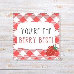 May include: A red and white gingham background with a white speech bubble that says "You're the berry best!" A red strawberry with green leaves is to the right of the speech bubble.