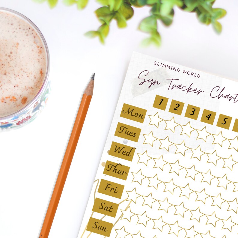 Slimming World Syn Tracker Printable PDF Week Food Diary - Etsy