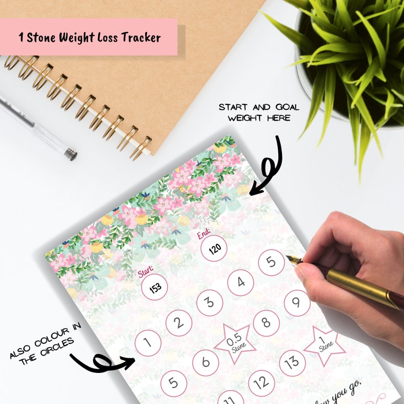 Weight Loss Tracker Printable 1 Stone Weight Loss Chart Etsy UK