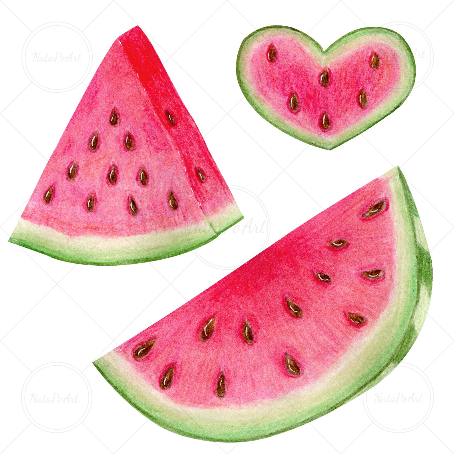 Watercolor Watermelon Clipart. Realistic Illustration. Tasty Etsy