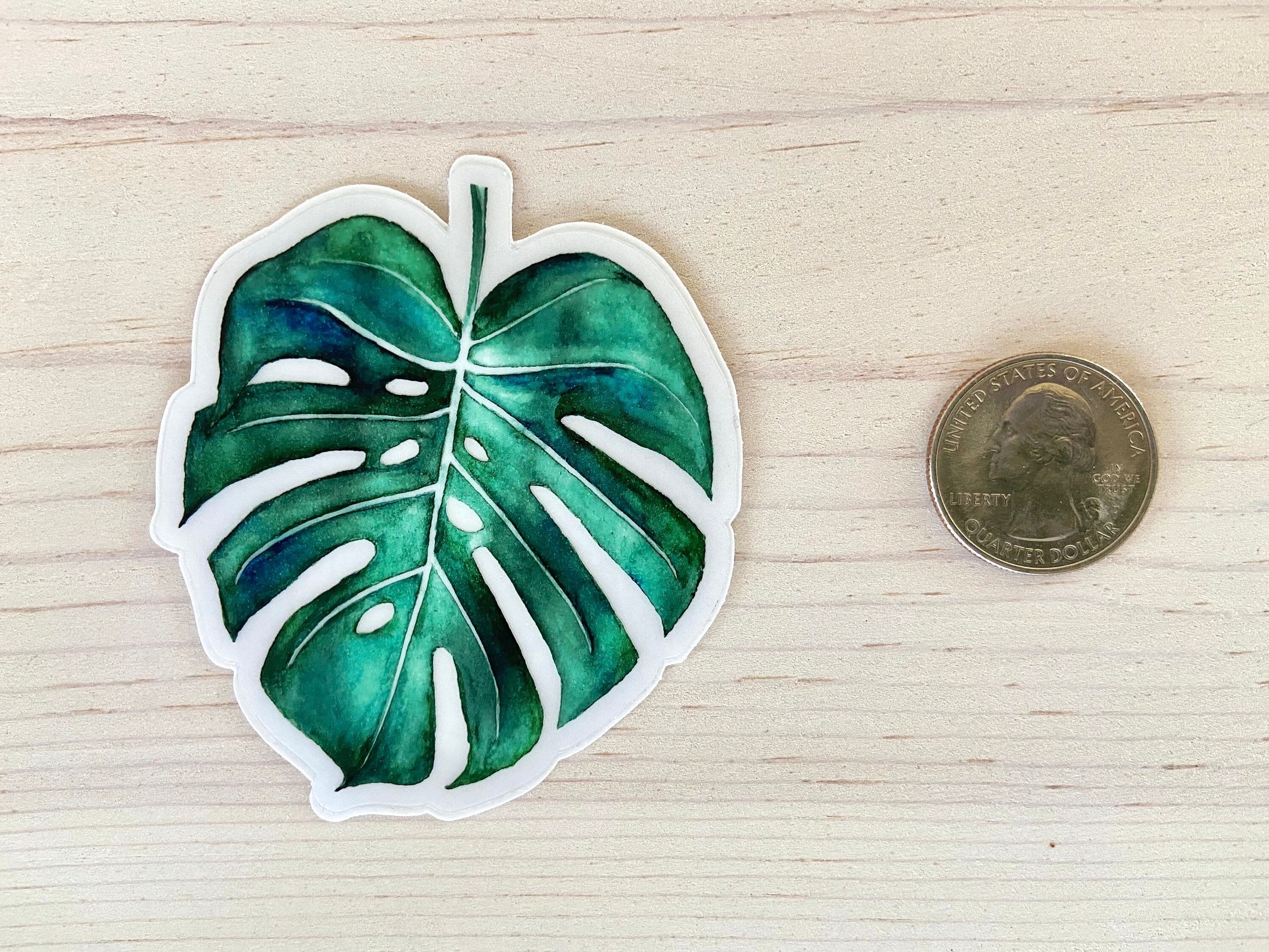 Monstera Sticker Decal, Monstera Plant Sticker Decal, Monstera ...