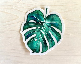 Monstera Sticker Decal, Monstera Plant Sticker Decal, Monstera Deliciosa Sticker Decal, Houseplant Sticker Decal - transparent