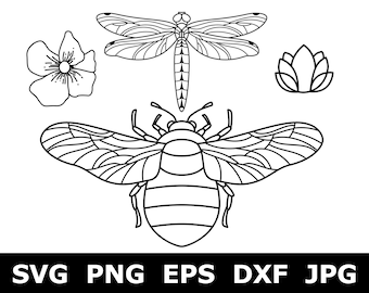 AI png 80 insects and cartoons eps pdf dxf jpg Image Graphic Digital Download Artwork insects svg Vector BUNDLE