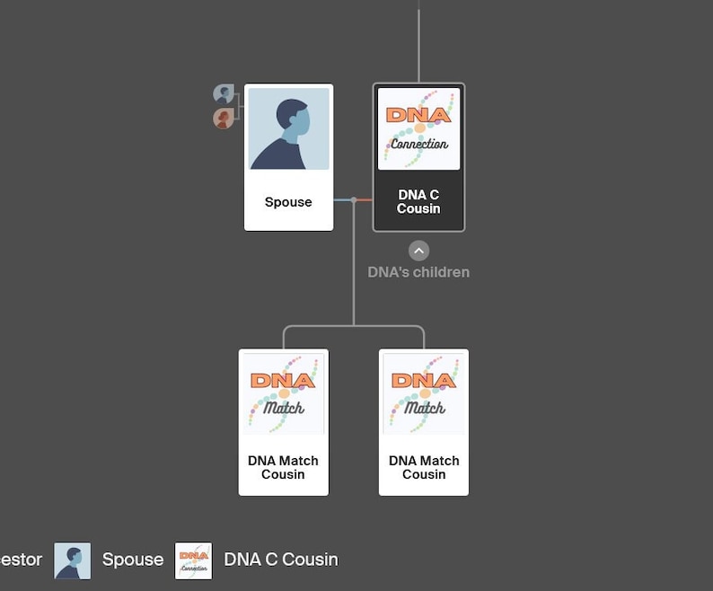 Design 2b | Organise Digital Family Trees With Original Genealogist DNA ...