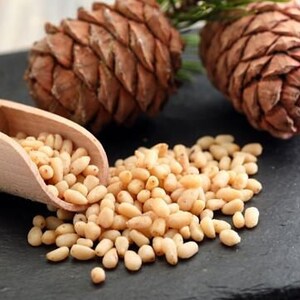 Organic Pine Nuts Whole Seeds Superior Quality Pinus Gerardiana High-Protein Superfood Handpicked Herbs-Spices, 1.8oz 50g image 3