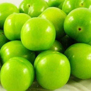 Groene Pruim, Yesil Erik, Janerik, Zure Groene Pruimen, Vers Fruit, Pruimenbomen, Green Gage, Verse Pruim, Verse Pruimen afbeelding 1