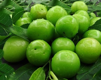 Ciruela Verde, Ciruela Verde Fresca, Ciruela Verde Natural, Erik, Fruta de Primavera, Ciruela Verde Orgánica, Ciruela Agria