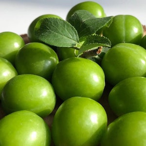 Groene Pruim, Yesil Erik, Janerik, Zure Groene Pruimen, Vers Fruit, Pruimenbomen, Green Gage, Verse Pruim, Verse Pruimen afbeelding 3