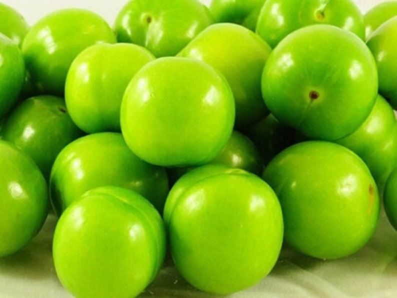 Groene Pruim, Yesil Erik, Janerik, Zure Groene Pruimen, Vers Fruit, Pruimenbomen, Green Gage, Verse Pruim, Verse Pruimen afbeelding 1