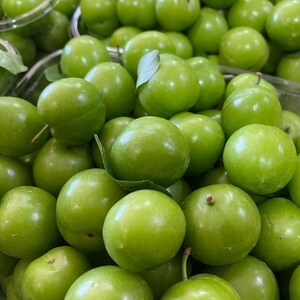 Groene Pruim, Yesil Erik, Janerik, Zure Groene Pruimen, Vers Fruit, Pruimenbomen, Green Gage, Verse Pruim, Verse Pruimen afbeelding 2