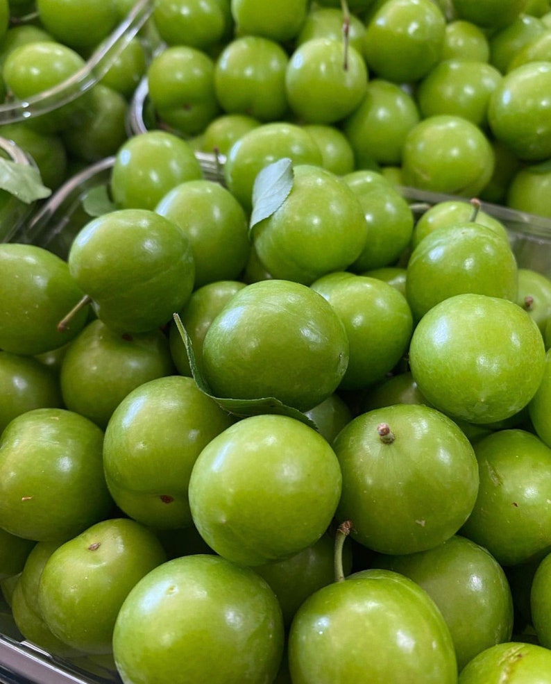 Groene Pruim, Yesil Erik, Janerik, Zure Groene Pruimen, Vers Fruit, Pruimenbomen, Green Gage, Verse Pruim, Verse Pruimen afbeelding 2