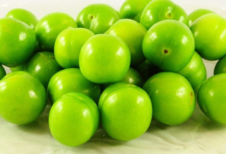 Groene Pruim, Yesil Erik, Janerik, Zure Groene Pruimen, Vers Fruit, Pruimenbomen, Green Gage, Verse Pruim, Verse Pruimen afbeelding 5