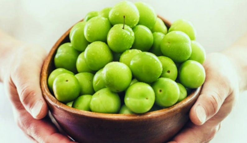 Groene Pruim, Yesil Erik, Janerik, Zure Groene Pruimen, Vers Fruit, Pruimenbomen, Green Gage, Verse Pruim, Verse Pruimen afbeelding 6