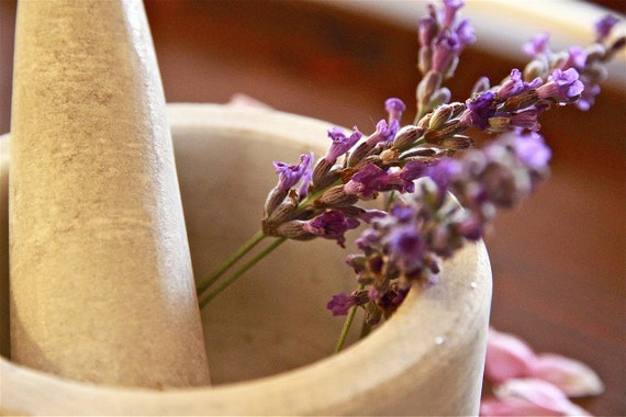 Té de lavanda Té de hierbas naturales Flores de lavanda - Etsy España