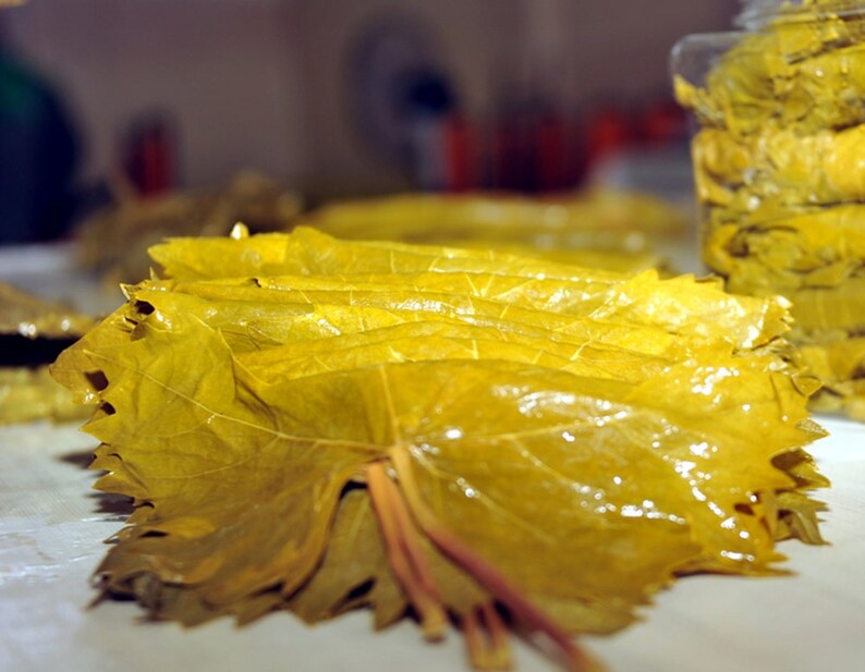 Pickled Grape Leaves Turkish Food Grape Leaf Vine Leaf Etsy
