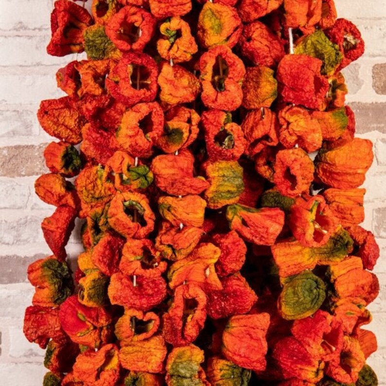 Dried Stuffed Peppers Dried Bell Pepper Dried Pepper in Etsy