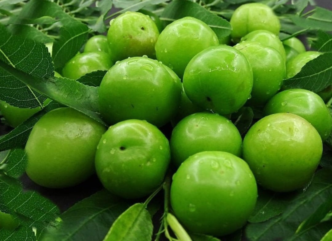 Green Plum, Fresh Green Plum, Natural Green Plum, Erik, Spring Fruit