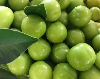 Greengage, groene zure pruim, groene pruimfruit, populair fruit, bestseller verse groene pruim, nieuw gewasfruit, Eksi Erik, 0,55 pond - 250 g