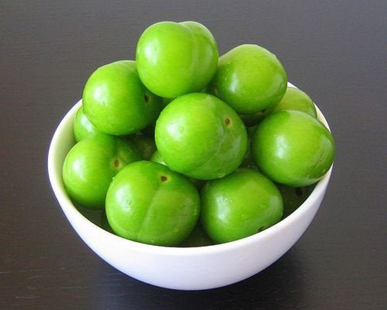 Green Plum Fresh Green Plum Natural Green Plum Erik Spring Etsy