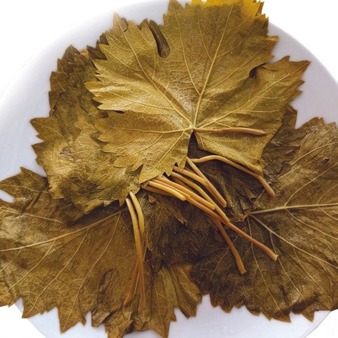 Pickled Leaves Grape leaf Vine Leaf Wrap Leaf 1.1lb 500g Etsy