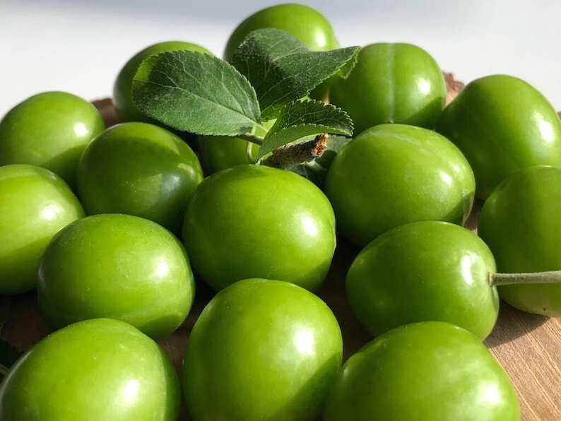 Groene Pruim, Yesil Erik, Janerik, Zure Groene Pruimen, Vers Fruit, Pruimenbomen, Green Gage, Verse Pruim, Verse Pruimen afbeelding 3