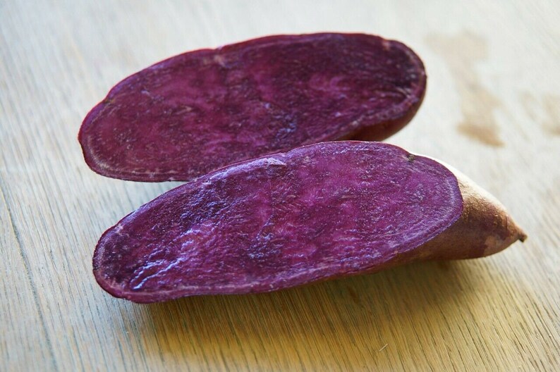 15 Purple Sweet Potato Slips for growing in your own Garden. Etsy