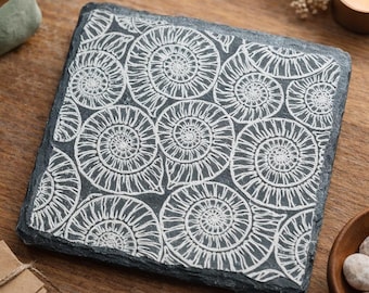 May include: Square slate coaster with a white spiral fossil pattern. The coaster is dark gray and has a natural, textured edge. The fossil design is repeated across the surface.