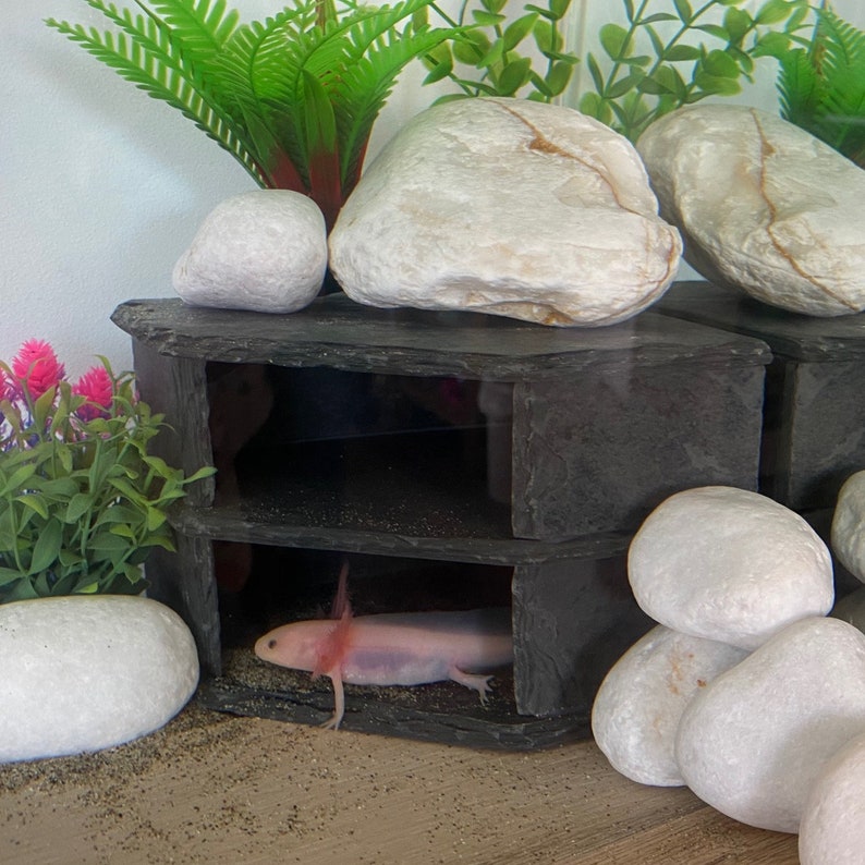 Natural SLATE Stone Rock Cave for Pleco Aquarium Fish Tank or Etsy