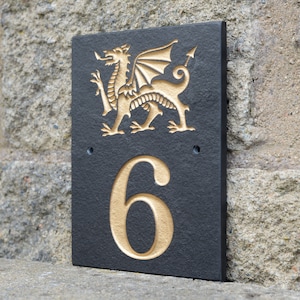 Bord Welsh Dragon House, gegraveerde deurnummerplaat, adresbord goudzilver of wit geëmailleerd, Wales-motief voor muur.