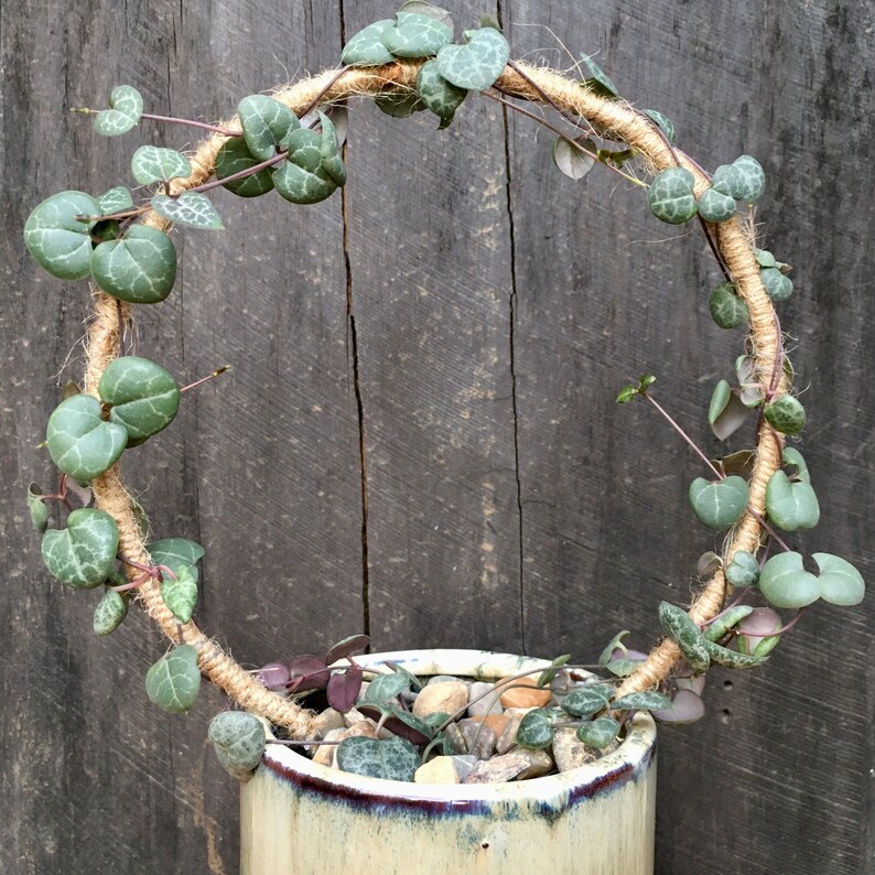 Small Jute Twine Wrapped Endless Trellis Ideal for Continued Etsy