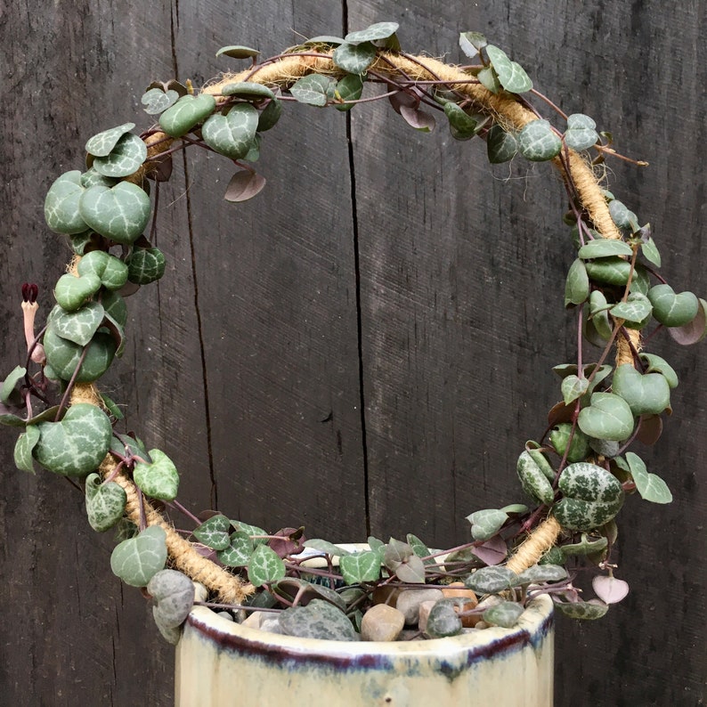 Small Jute Twine Wrapped Endless Trellis Ideal for Continued Etsy