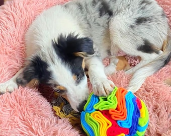 Snuffle Ball Enrichment Toy | Custom Colours | Sizes S-XL