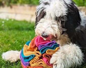 Op de afbeelding: Een pluizige hond met zwart, wit en grijs haar houdt een kleurrijk hondenspeeltje vast. Het speelgoed is een bal van gevouwen stof in tinten roze, oranje, geel, turquoise, paars en blauw. De hond ligt op groen gras.