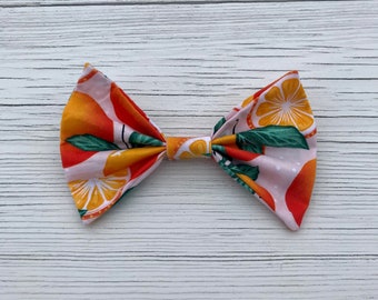 Orange Blossoms Dog Bow Ties, Hair Bows and Neck Ties