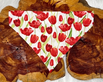 Red Tulips Dog Bandana Snap On or Over the Collar