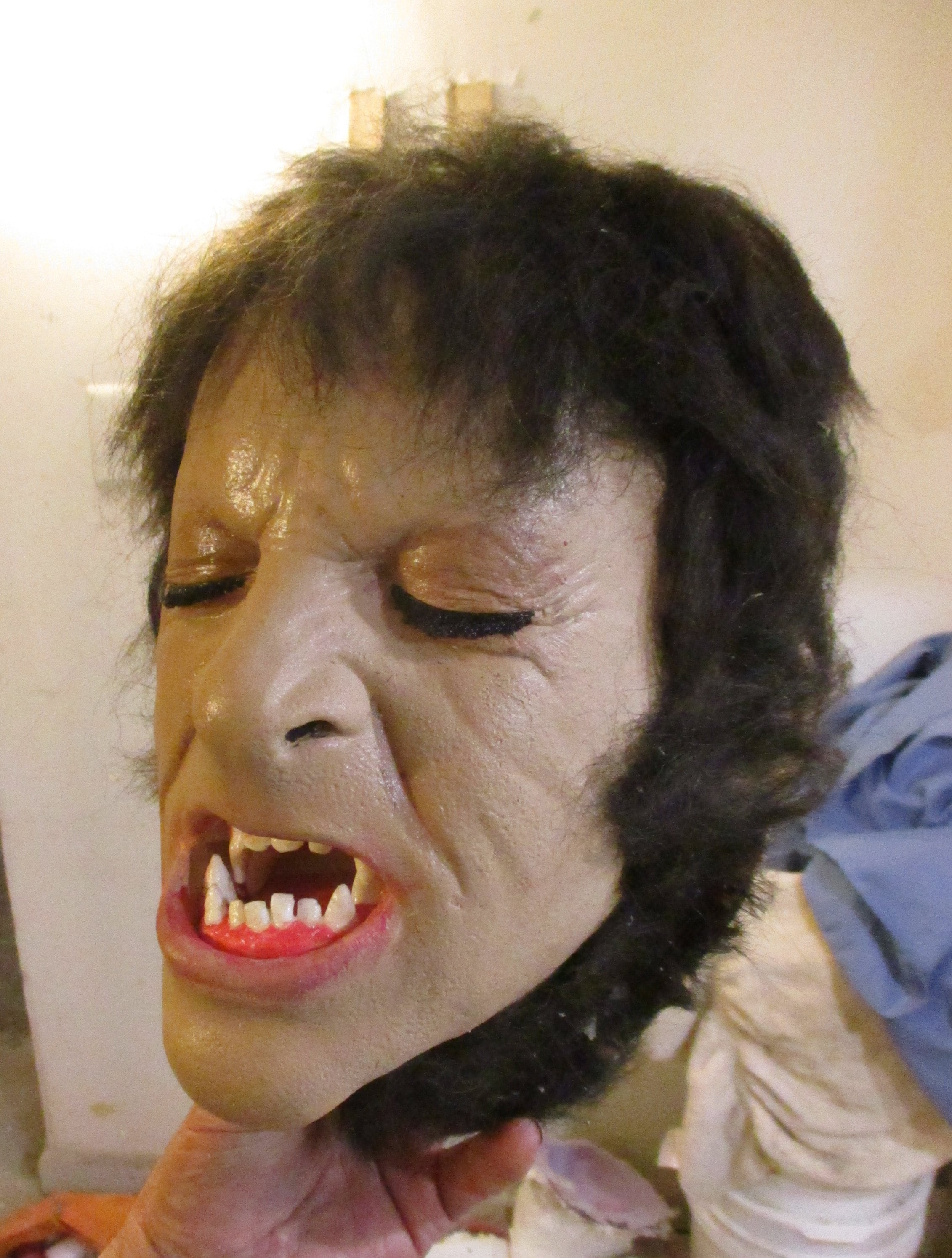 Life size American Werewolf transformation #1 3/4 prop head