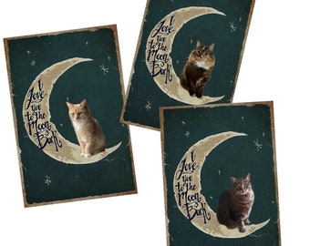 Customised 'To The Moon & Back' Metal Wall Plaques, Gift For Cat Lovers, Beautiful Pet Sign, Commemorative Pet Sign