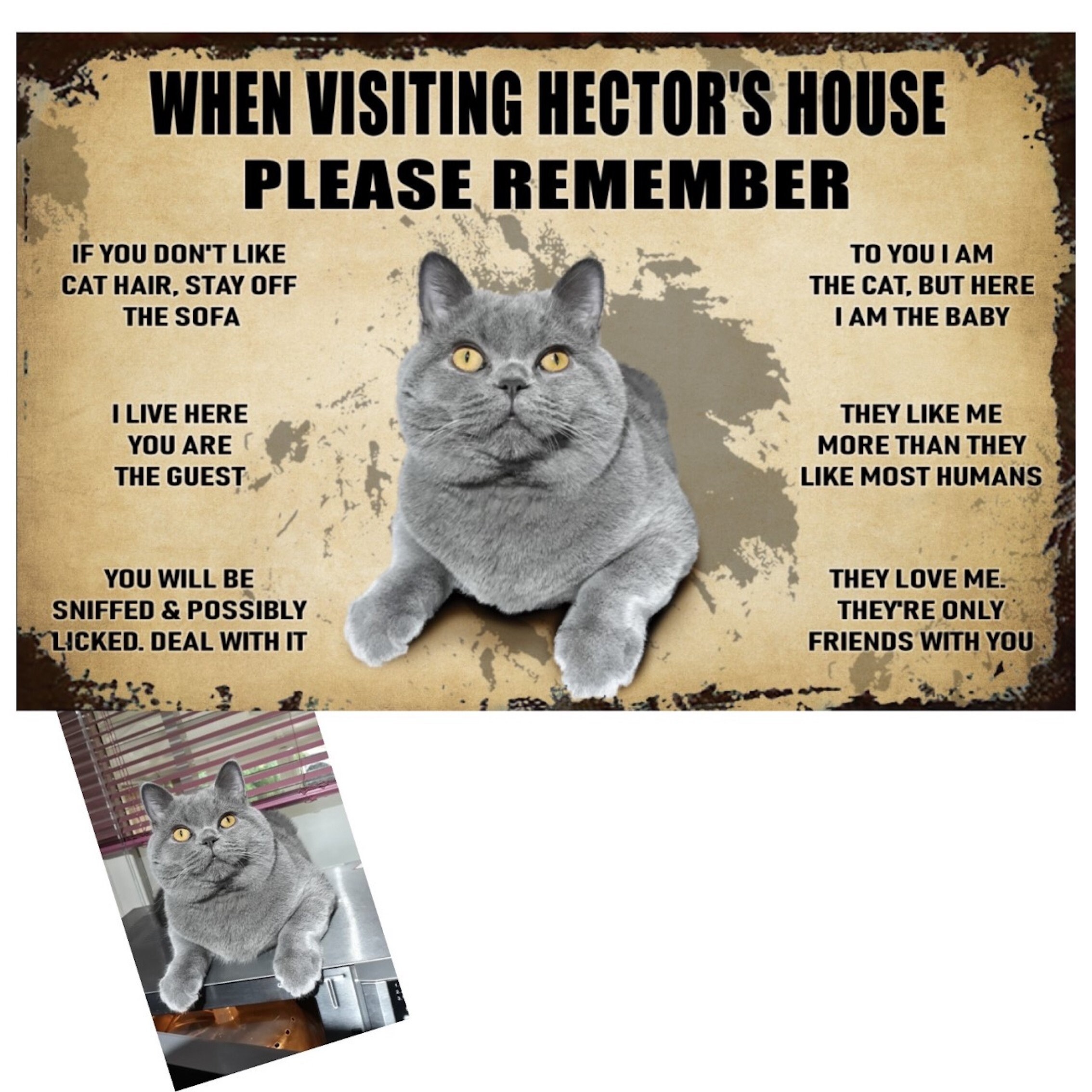 Grumpy Cat House Name Feature Plaque Outdoor Hanging Metal Black