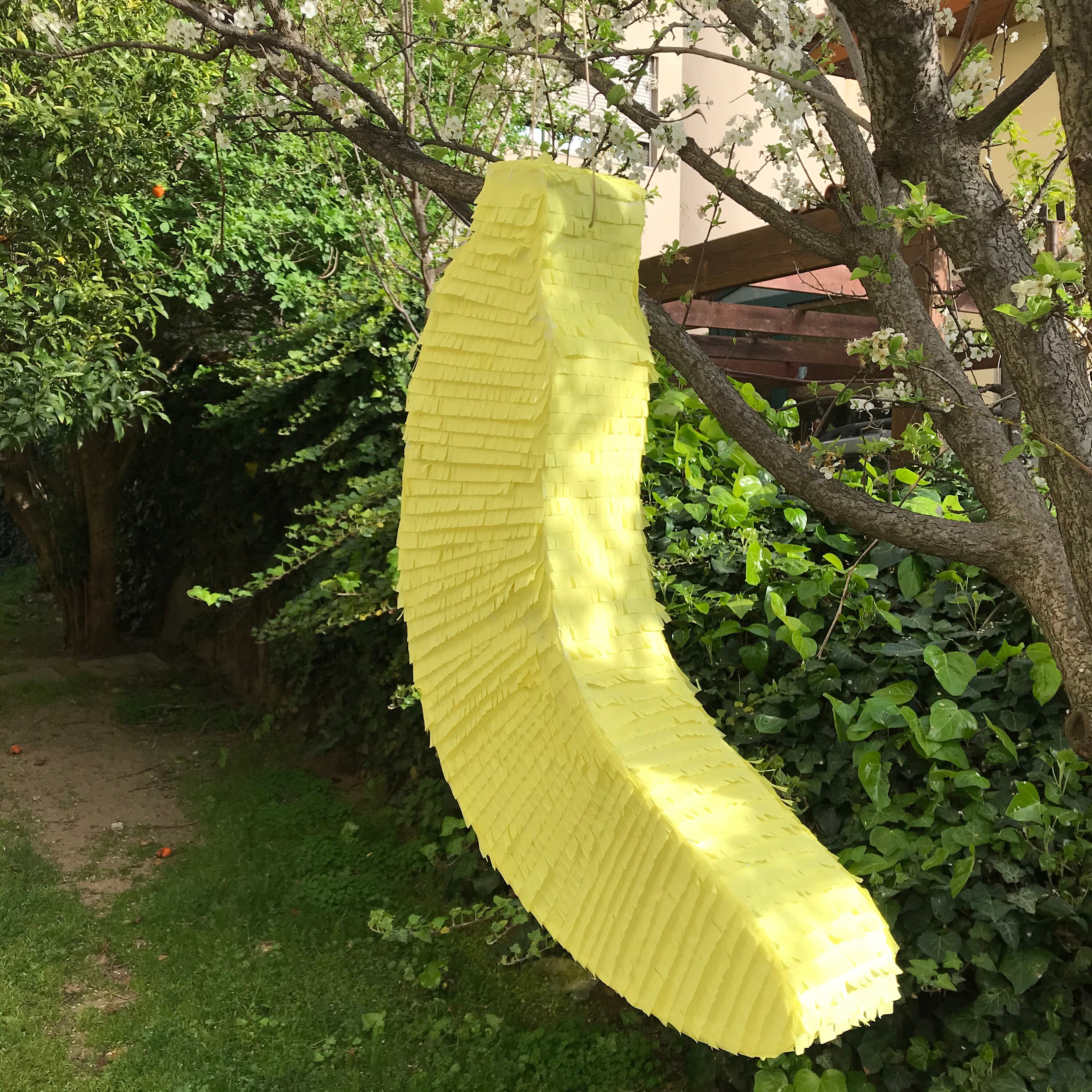 Banana Pinata, Banana Party Decoration - Etsy