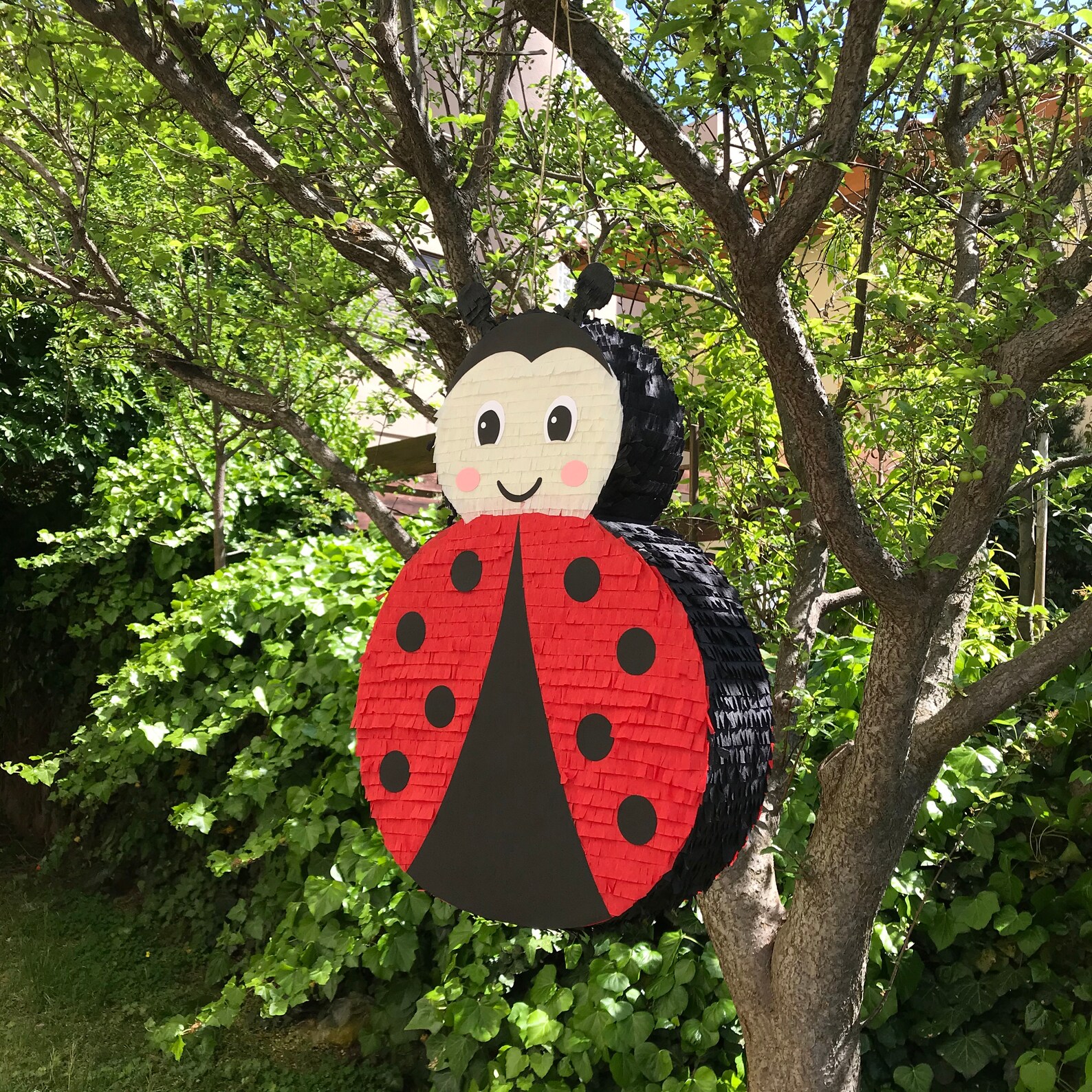 Ladybug Pinata for Ladybug Birthdays Ladybug Party Decoration | Etsy